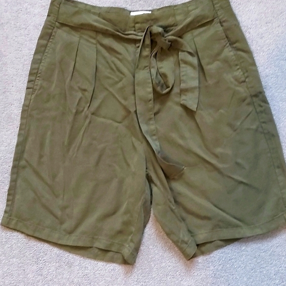 Green Pleated Shorts - Picture 1 of 4